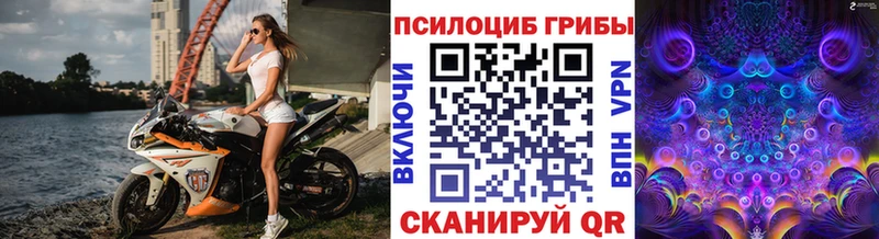 Галлюциногенные грибы Magic Shrooms  OMG ONION  Черемхово 